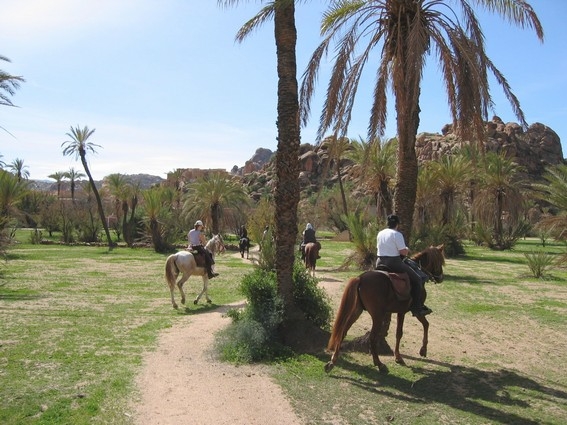 trek a cheval maroc