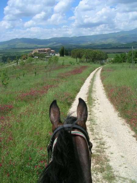 horse riding in tuscany