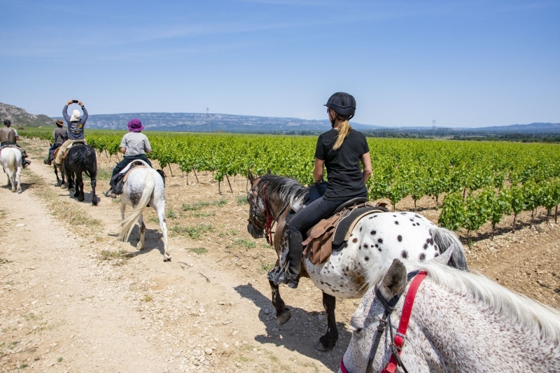 horse riding trips france