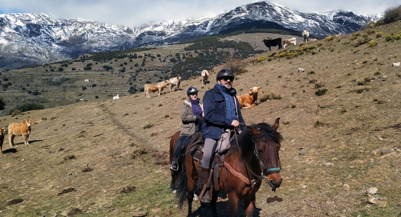 horse riding holidays andalusia