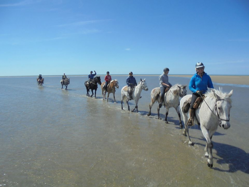 Horse riding holidays in Camargue