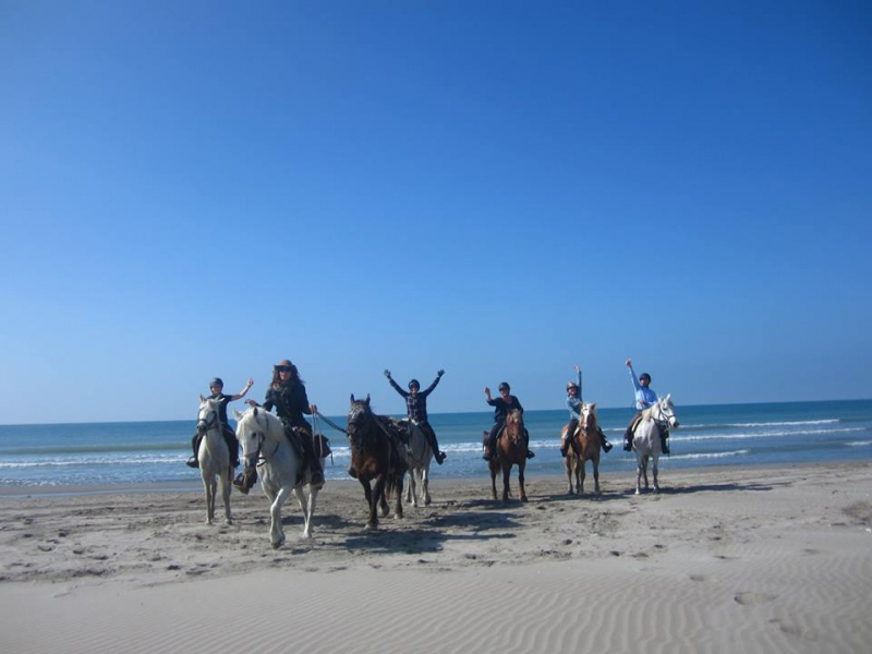 Horse riding in Camargue