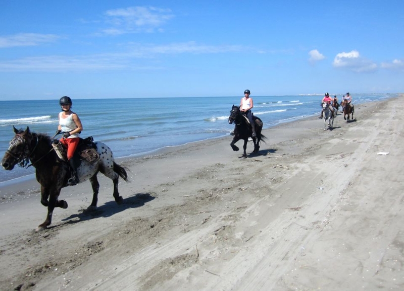 equestrian holiday in Camargue