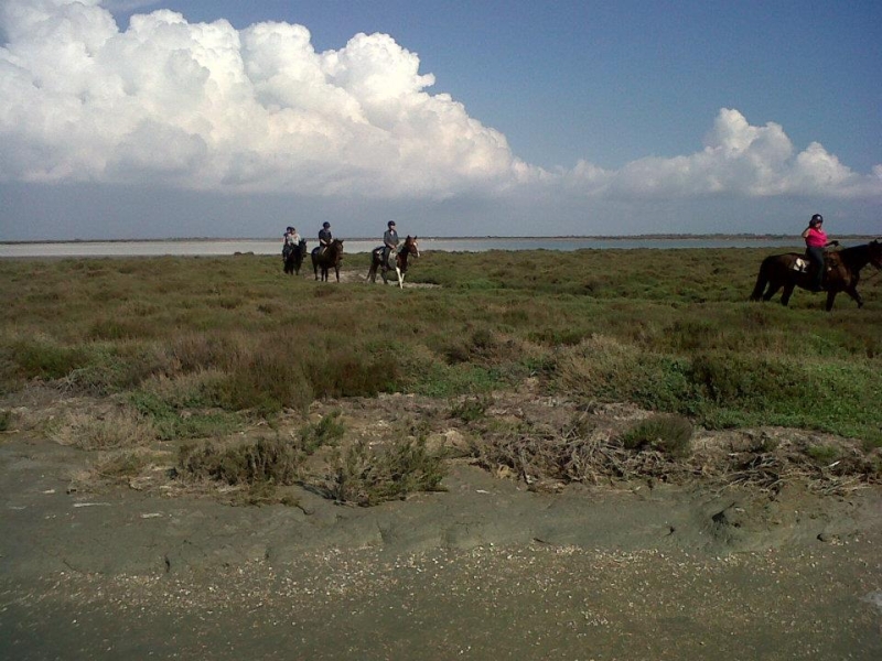 Camargue horse riding