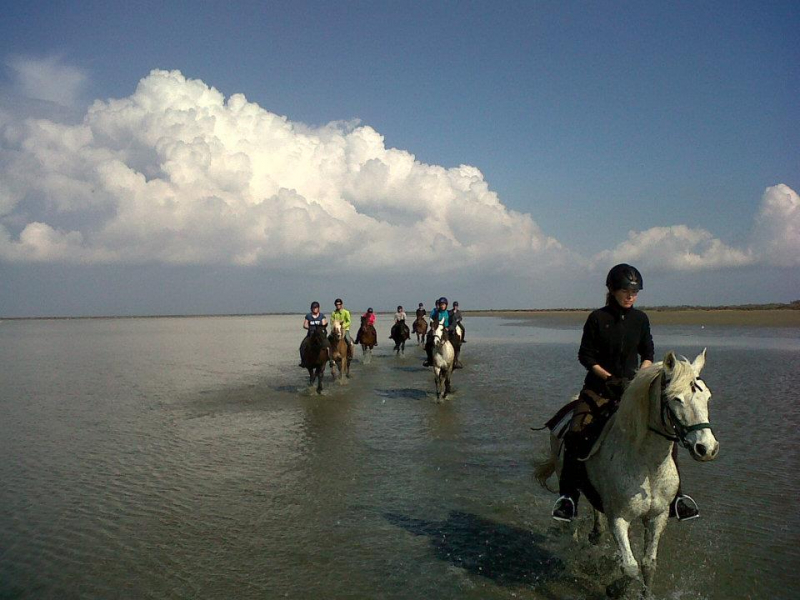 Horse riding in Camargue