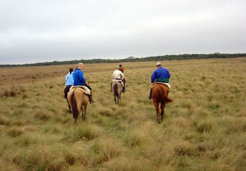 Argentina horse riding
