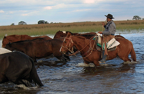 Argentina horseback vacation