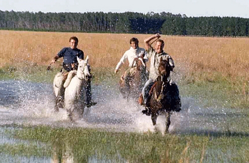 horse work with gaucho Argentina