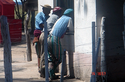 cattle work hose riding Argentina