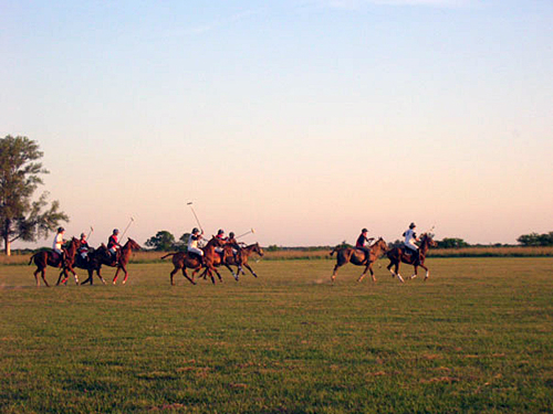 Equestrian Argentina