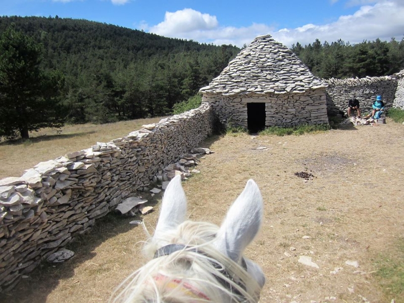 Haute Provence rando a cheval