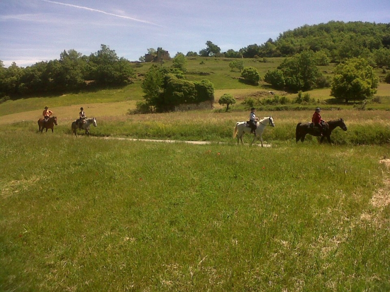 a cheval en Haute Provence