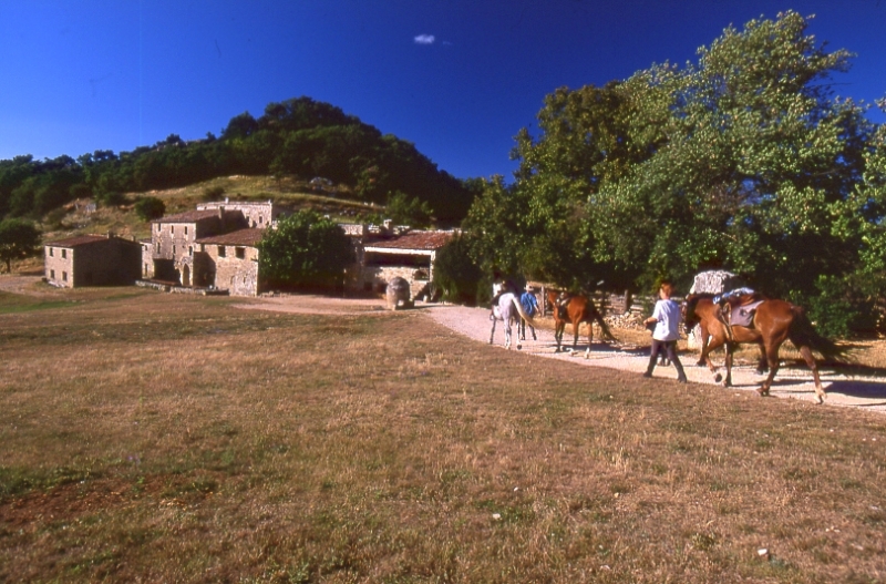 A cheval en Haute Provence