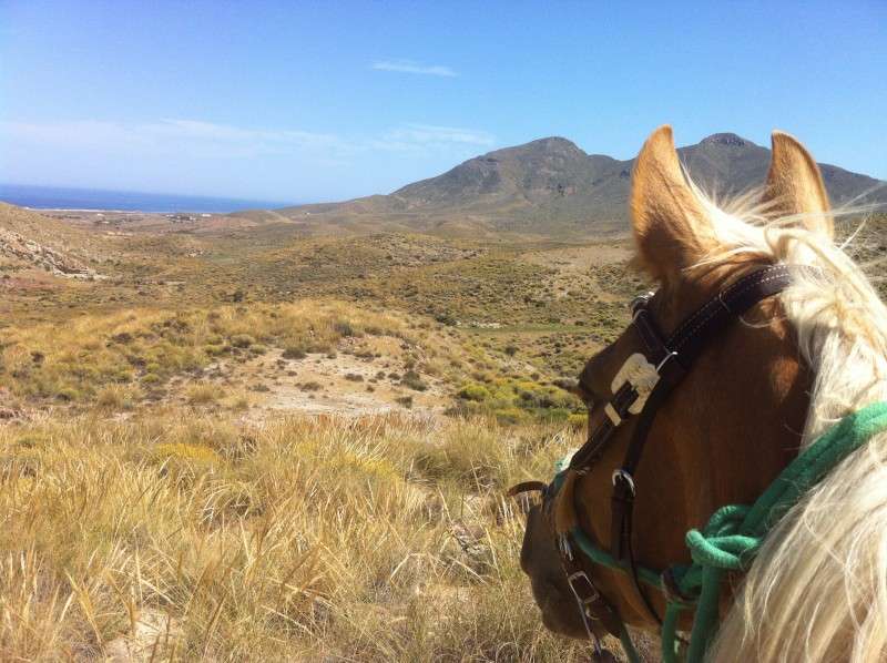 randonnée à cheval en Andalousie