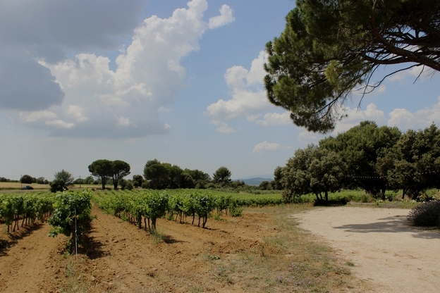 provence horseback trail ride