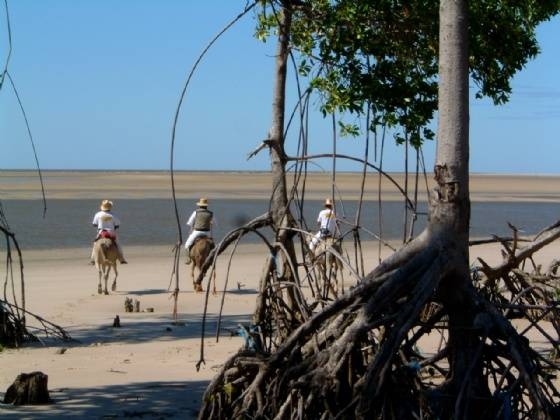 horse riding holiday in Brazil