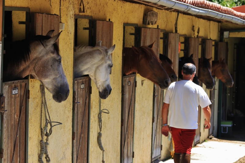 equestrian holidays in Portugal