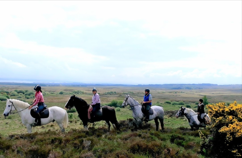 Visit Ireland on a horse