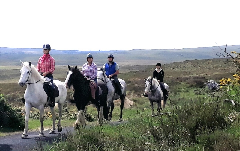 Equestrian holiday in Ireland