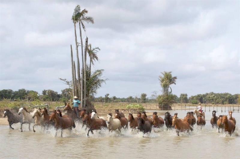 horse riding vacations in Brazil