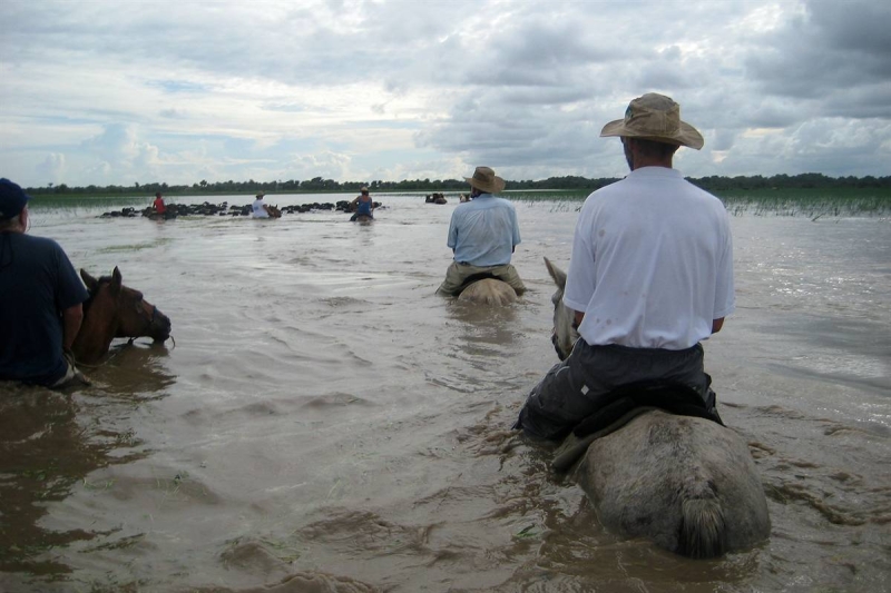 horse riding holidays in Brazil