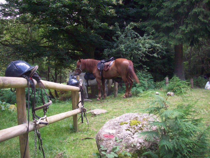 horse riding in Portugal