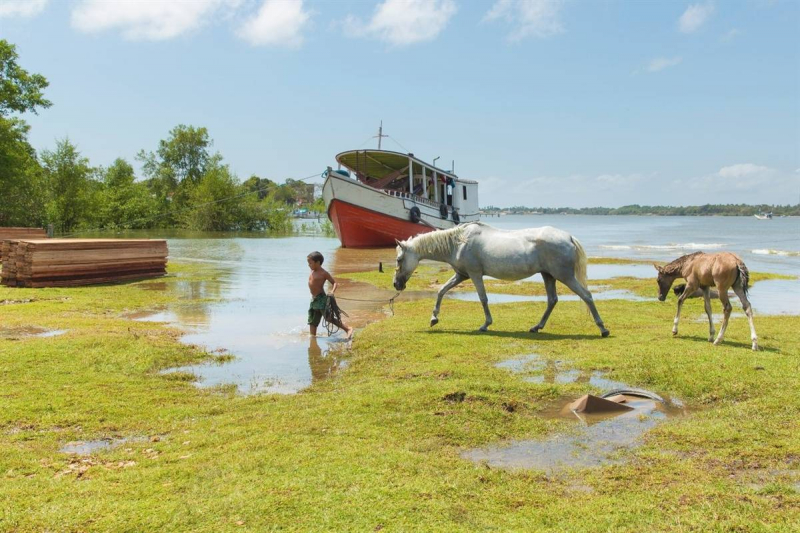 horse riding trip in Brazil