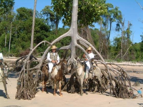 horse ride vacation in Brazil