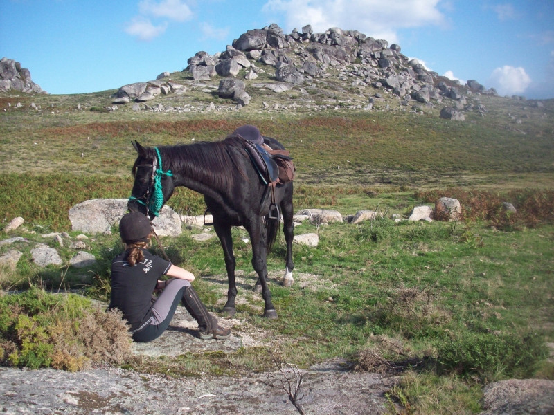 week horse holiday in Portugal