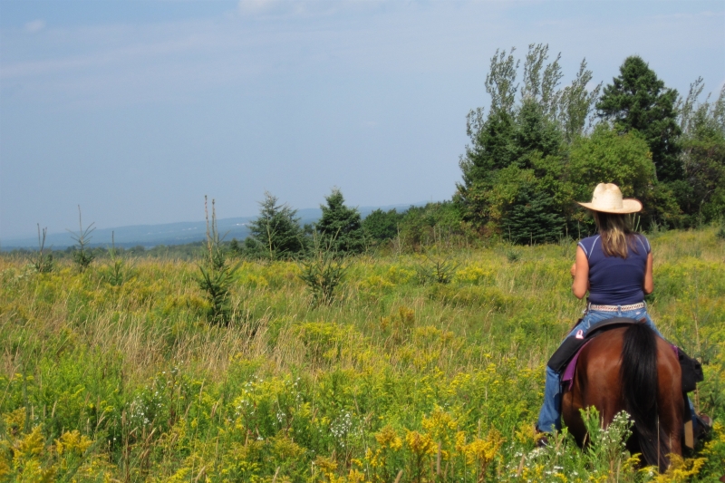 Le Québec à cheval