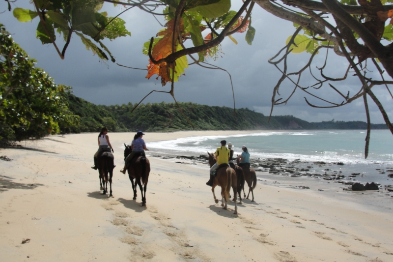 horseback holidays in Andalusia