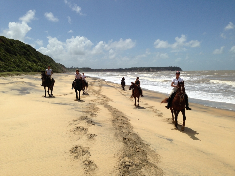 Brazil horse riding