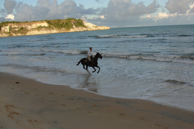 visit Brazil on horseback