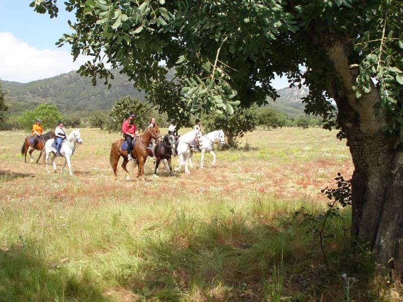 holiday in a riding school in Majorca