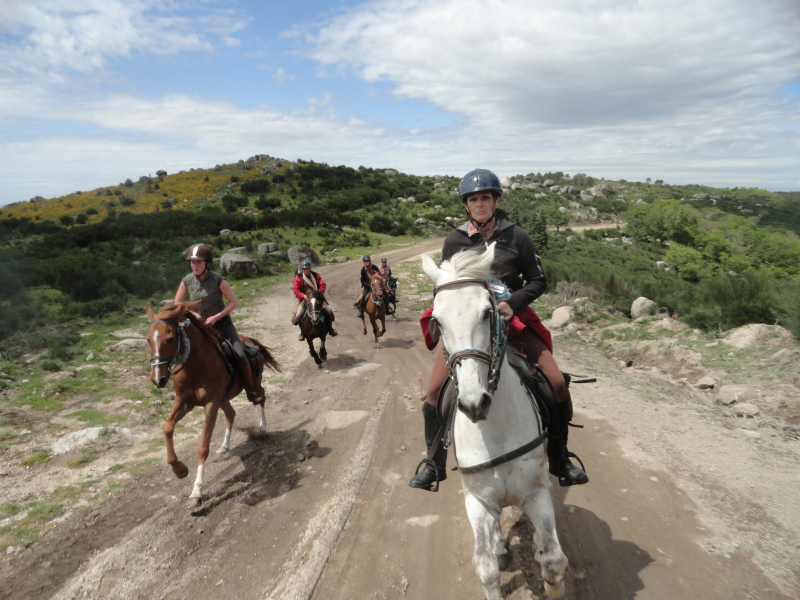 visit Portugal horse riding