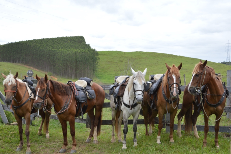 Brazil horse riding vacations