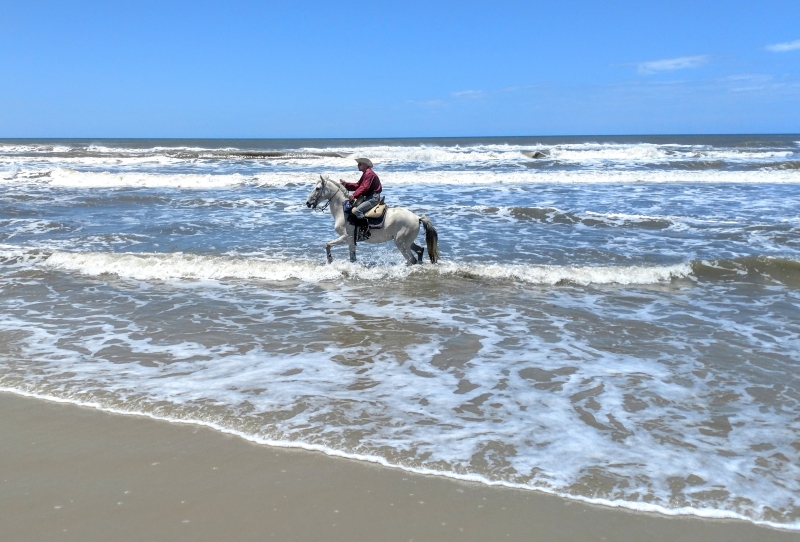 Brazil equestrian holiday