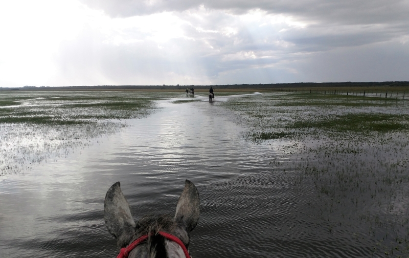 Equestrian vacation in Brazil