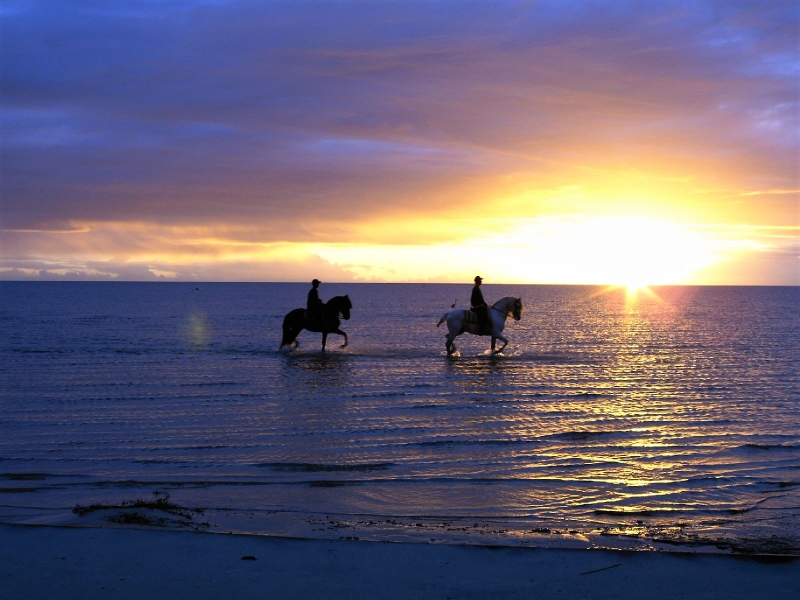 horseback trail riding in Brazil