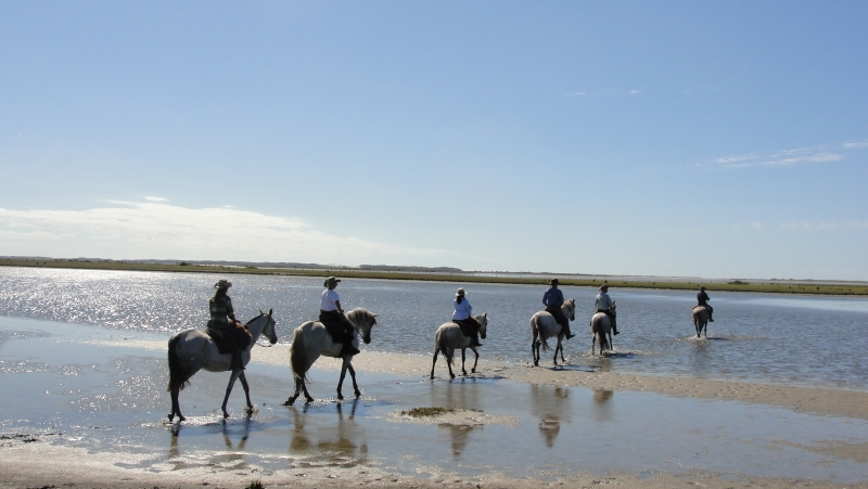 horseback trail ride in Brazil