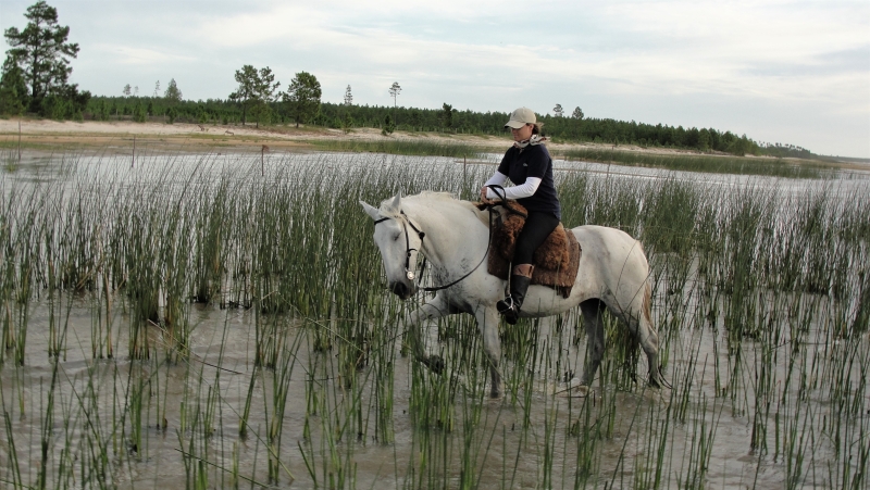 Horse riding trail ride in Brazil