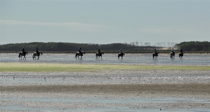 Brazil horseback riding holiday