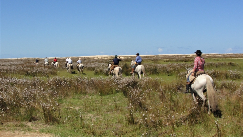 Brazil horse riding holiday