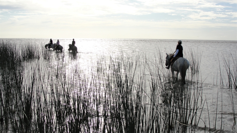 Brazil on horseback