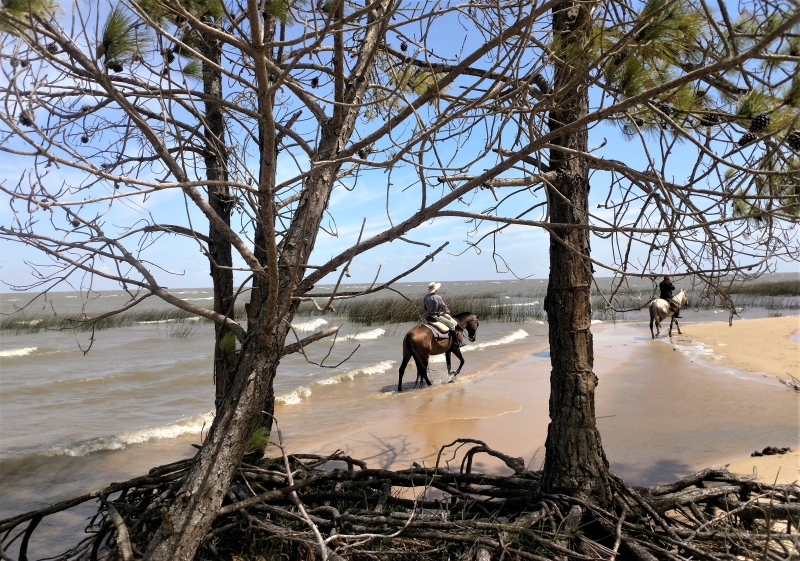 Horse riding holiday in Brazil