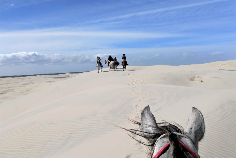 Horse riding in Brazil