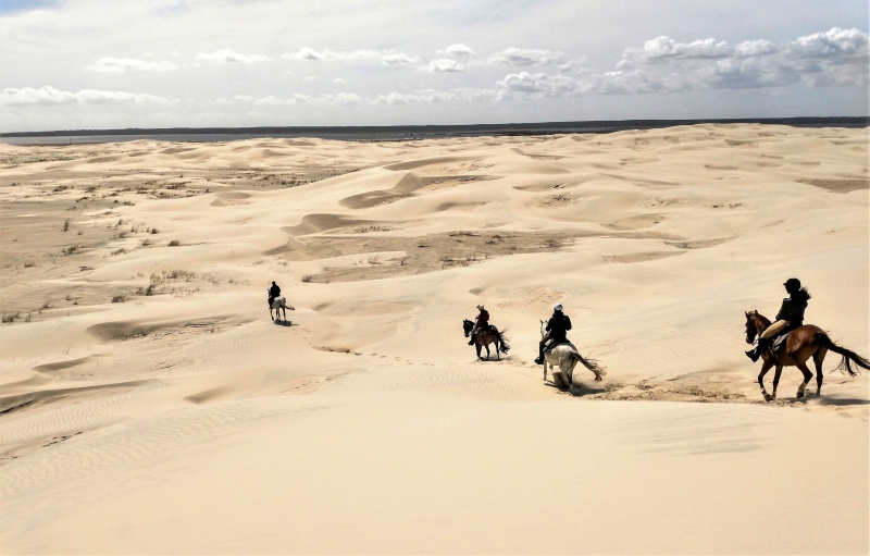 Horse riding Brazil