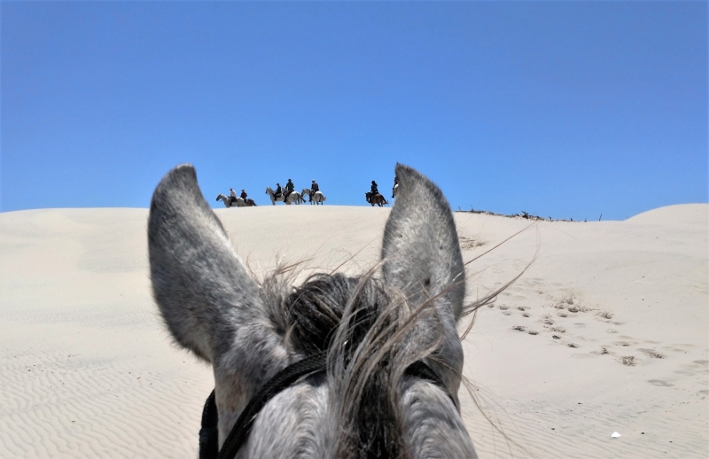 Horseback riding Brazil