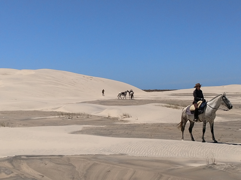 Brazil horseback trip