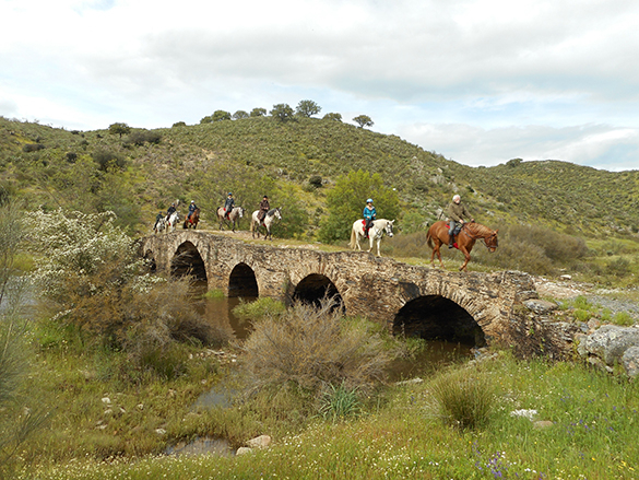 visit Spain on horseback